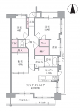 福山市光南町、マンションの間取り画像です