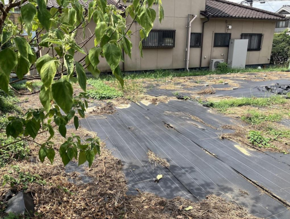 福山市山手町、土地の画像です