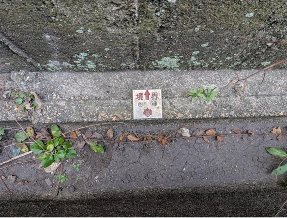 福山市東陽台、土地の画像です
