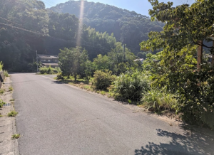 福山市沼隈町大字草深、土地の画像です