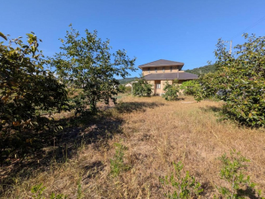 福山市沼隈町大字草深、土地の画像です