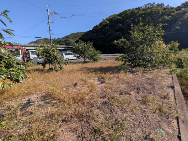 福山市沼隈町大字草深、土地の画像です