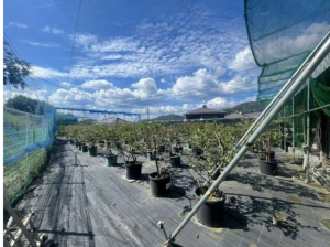 福山市大門町野々浜、土地の画像です
