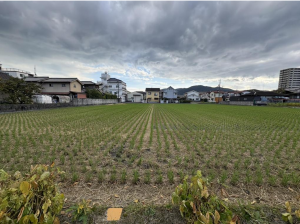 福山市川口町、土地の画像です