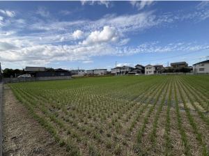 福山市川口町、土地の画像です