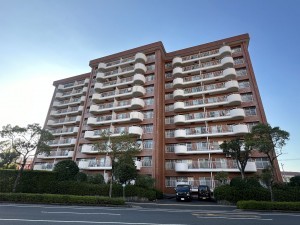 鹿児島市真砂本町、マンションの画像です