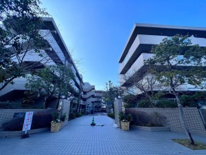 鹿児島市西陵、マンションの画像です