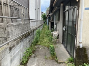 鹿児島市郡元町、土地の画像です