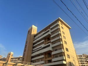 鹿児島市鴨池新町、マンションの画像です