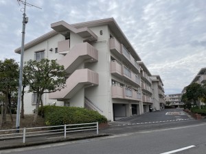 鹿児島市鴨池新町、マンションの画像です