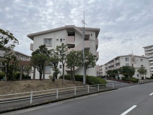 鹿児島市鴨池新町、マンションの画像です