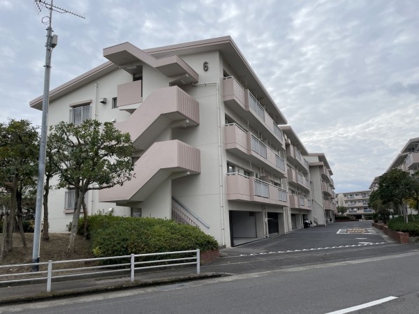 鹿児島市鴨池新町、マンションの画像です