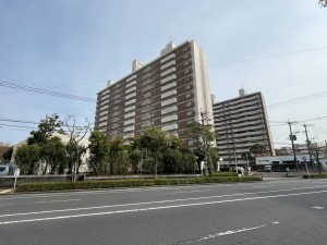 鹿児島市鴨池新町、マンションの画像です