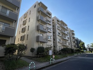 鹿児島市鴨池新町、マンションの画像です