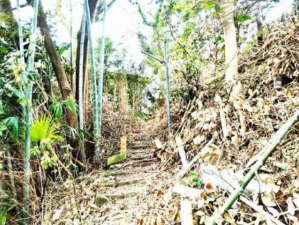 横須賀市坂本町、土地の画像です