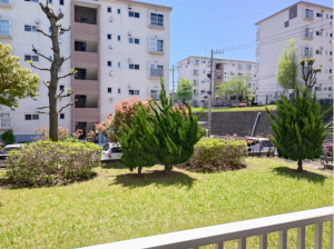 横須賀市桜が丘、マンションのその他画像です