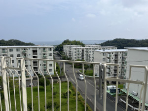 横須賀市グリーンハイツ、マンションのその他画像です