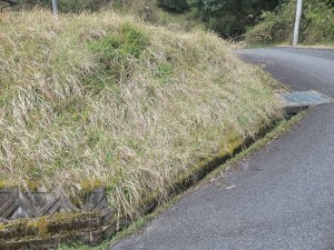 福知山市字下大内、土地の画像です