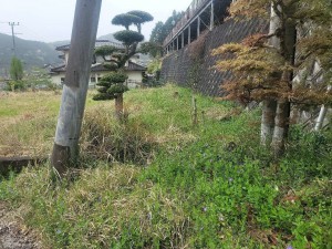 福知山市字下大内、土地の画像です