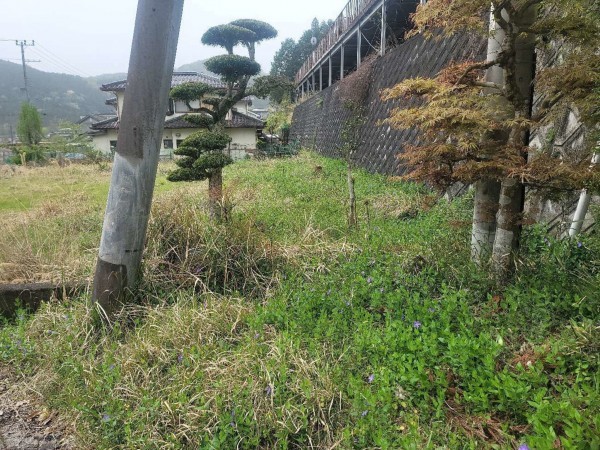 福知山市字下大内、土地の画像です