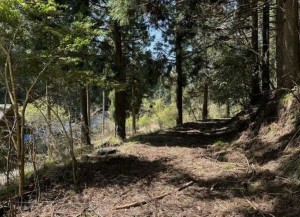 福知山市三和町、土地の画像です