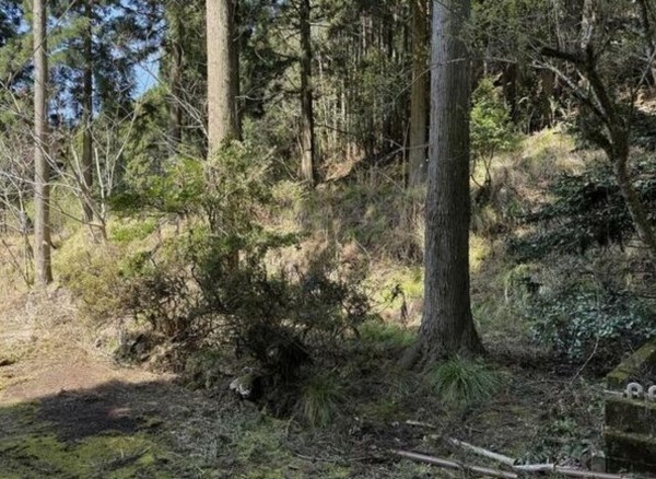 福知山市三和町、土地の画像です