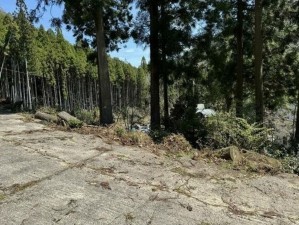 福知山市三和町、土地の画像です
