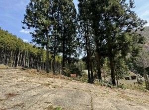 福知山市三和町、土地の間取り画像です