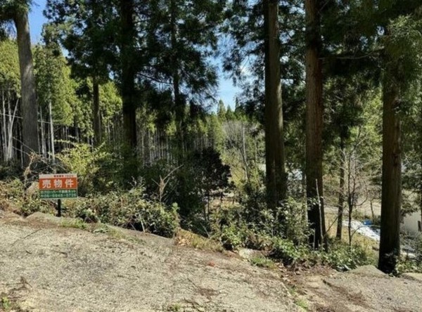 福知山市三和町、土地の画像です