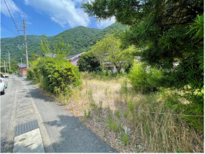 舞鶴市字東神崎、土地の画像です