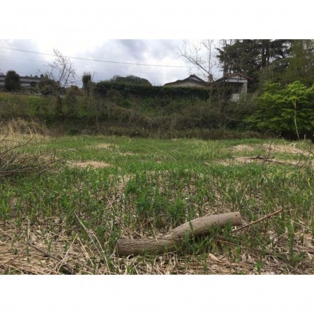 鳥取市鹿野町今市、土地の画像です