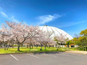 出雲市大塚町、新築一戸建ての公園画像です