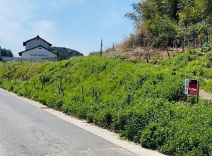 松江市下東川津町、土地の前面道路を含む現地写真画像です