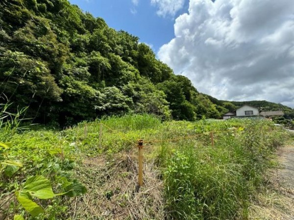 鳥取市鹿野町乙亥正、土地の外観画像です