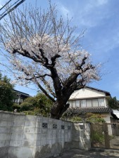 松江市古志原、中古一戸建ての画像です