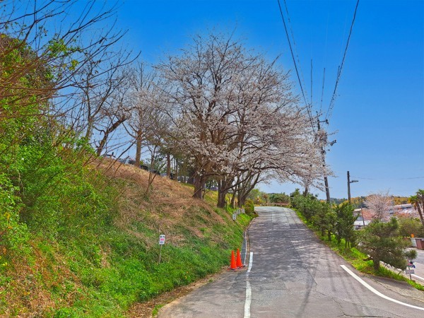 松江市東出雲町揖屋、新築一戸建ての小学校画像です