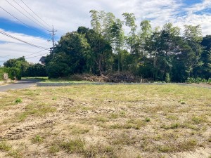 出雲市斐川町富村、土地の前面道路を含む現地写真画像です