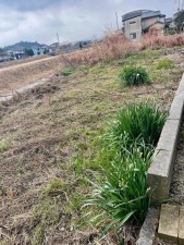 松江市西川津町、土地の画像です