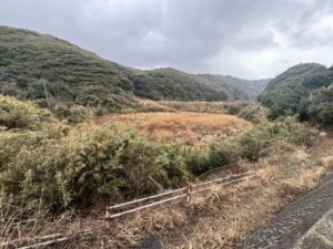 鳥取市青谷町長和瀬、土地の画像です