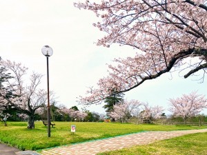 出雲市上塩冶町、新築一戸建ての公園画像です