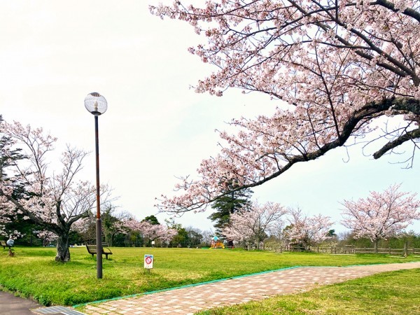 出雲市上塩冶町、新築一戸建ての公園画像です