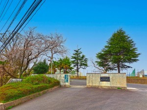 松江市浜乃木、土地の中学校画像です