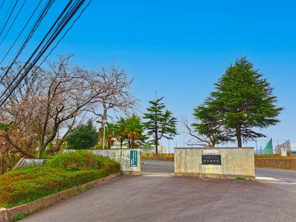 松江市浜乃木、土地の中学校画像です
