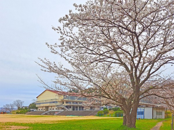 松江市一の谷町、新築一戸建ての中学校画像です