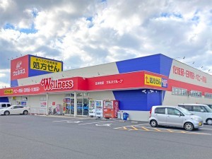 出雲市大津町、土地のドラッグストア画像です