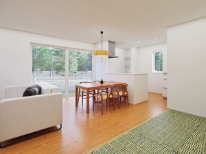 松江市上乃木、新築一戸建ての居間画像です