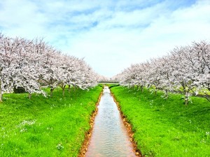 出雲市斐川町上直江、新築一戸建ての公園画像です