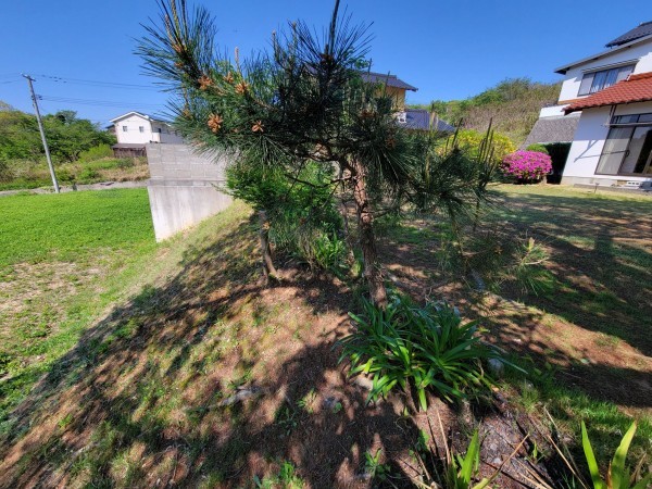 出雲市多伎町小田、土地の画像です