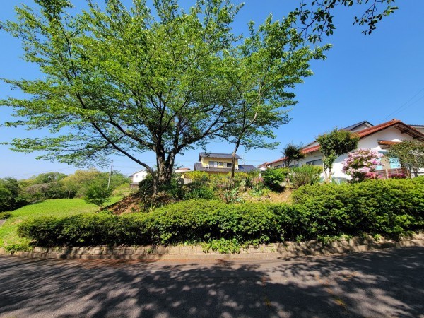 出雲市多伎町小田、土地の画像です
