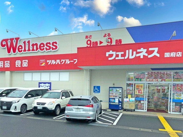 鳥取市卯垣、新築一戸建てのドラッグストア画像です